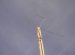Home digital TV antenna